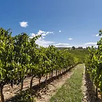 Farm stay Pecora Vecchia - Collemassari Hospitality *