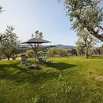 Farm stay Pecora Vecchia - Collemassari Hospitality