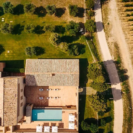 Pecora Vecchia - Collemassari Hospitality