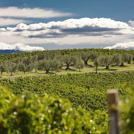 Farm stay Pecora Vecchia - Collemassari Hospitality Cinigiano